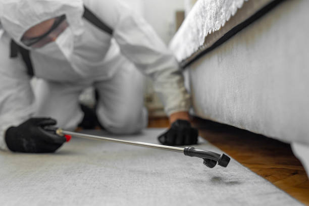 Professional Termite Control technician working in Easley, SC