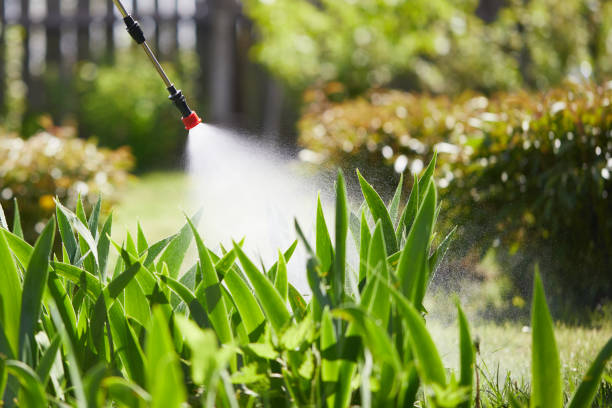 24/7 Emergency Termite Control experts in Easley, SC