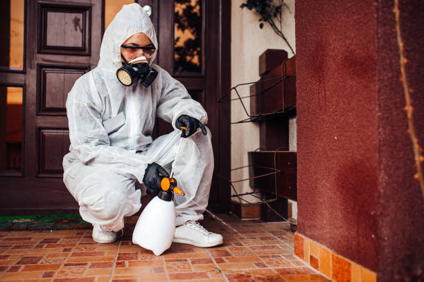 Reliable Termite Control contractor in Easley, SC by Nex Pest Control