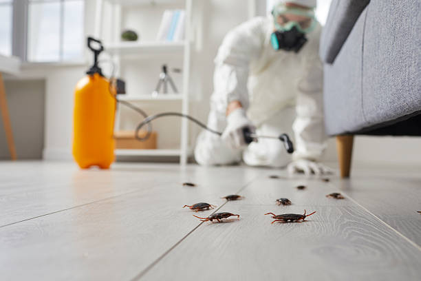 Trusted Fumigation Services service in Easley, SC - Nex Pest Control