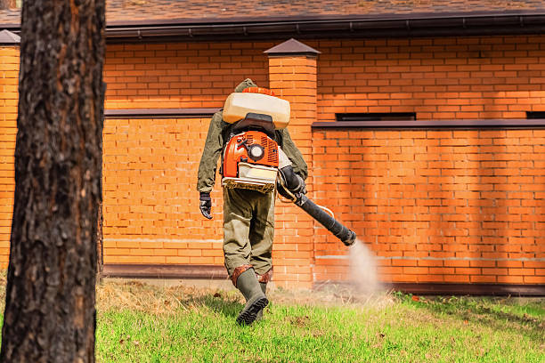 Trusted Bed Bug Control service in Easley, SC - Nex Pest Control